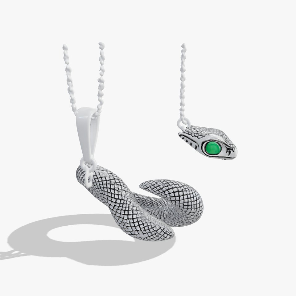 Snake Pendant with Chain Model Pack